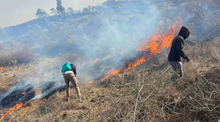 Fogo. Incêndios consumiram 360 hectares em maio e junho