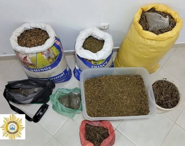 Tribunal decreta prisão preventiva para suspeito de tráfico de droga em São Salvador do Mundo
