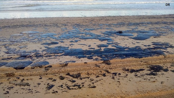 200 praias no Brasil atingidas com manchas de óleo