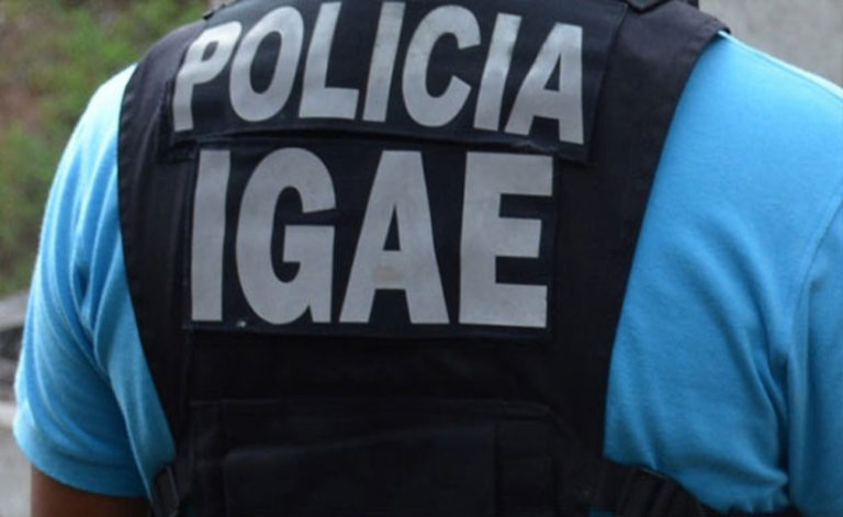 FISCALIZAÇÃO: IGAE deteta irregularidade no transporte de alimentos