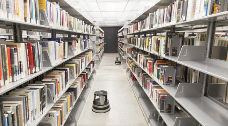 EDUCAÇÃO: Professores e Técnicos  recebem formação em Gestão de Bibliotecas Escolares