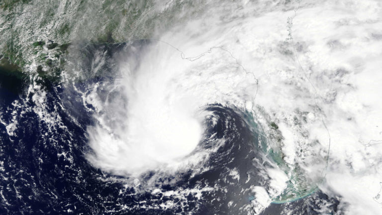 TEMPESTADE ALBERTO: Dois Jornalistas morrem atingidos por árvore nos EUA