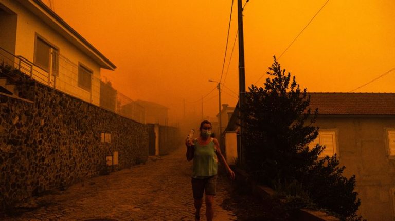 Incêndios já fizeram 123 vítimas em Portugal