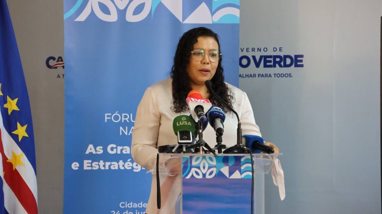 Parlamento debate plano estratégico da Defesa Nacional