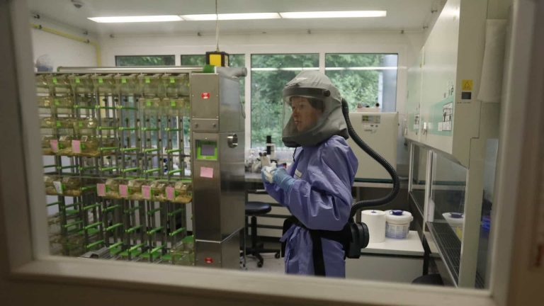 Covid-19: EUA autorizam teste que permite resultados em 45 minutos
