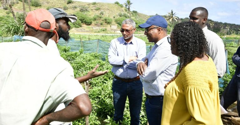 Governo investe em centrais de dessalinização para uma agricultura mais sustentável