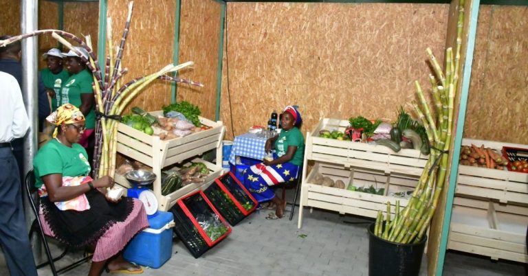 Feira Agropecuária termina com balanço positivo