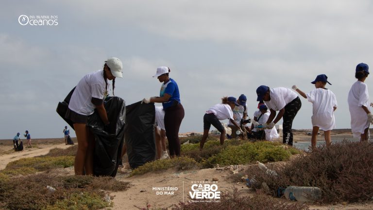 Boa Vista. Mais de 800 quilos de lixo recolhidos na praia das Gatas