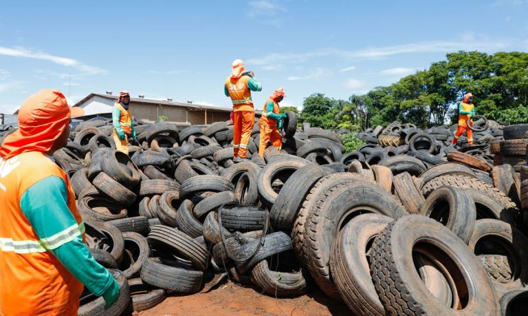 Brasil pode ter até 4,2 milhões de casos de dengue até final de 2024