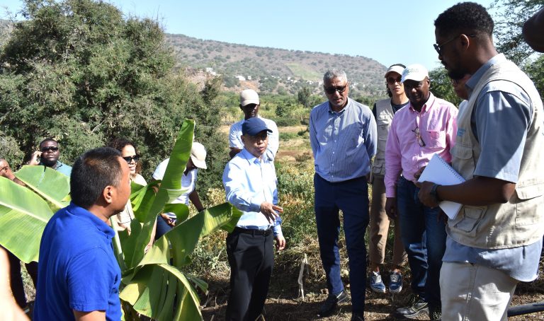 Ministro da Agricultura e Ambiente constata resultados positivos da cooperação Sul-Sul no interior de Santiago