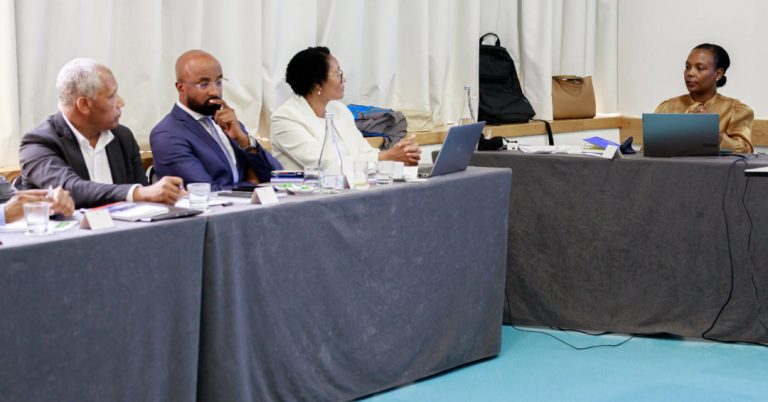 Presidenciais 2026. CNE promove ações de capacitação em Portugal