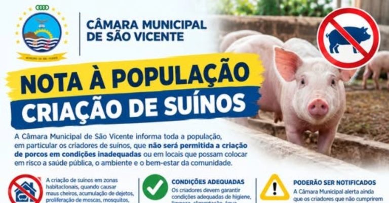 Câmara de São Vicente reforça controlo sobre criação de suínos em zonas habitacionais