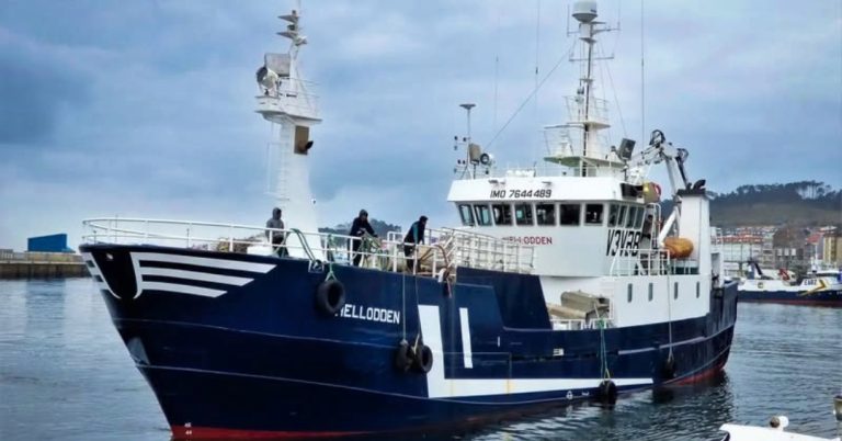Nova embarcação de pesca captura cerca de 30 toneladas de gaiato
