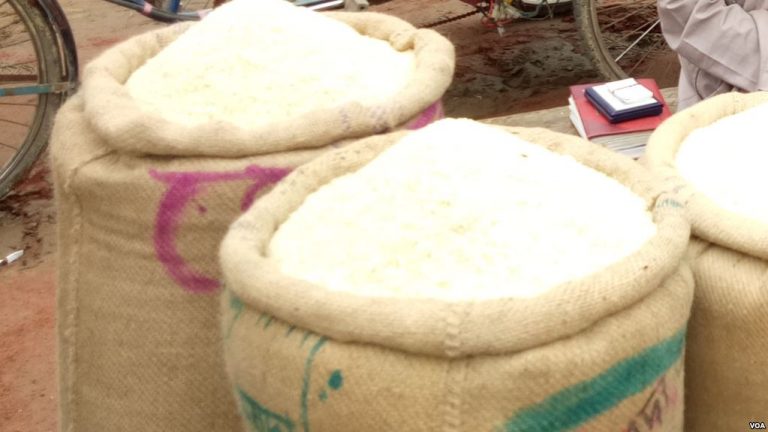 Apreendidas 36 toneladas de arroz em quinta de Ministro na Guiné