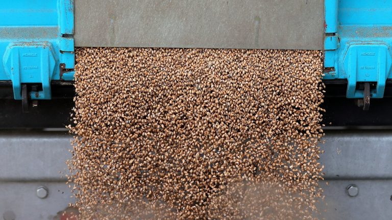 Navio com 23 mil toneladas de cereais parte de Ucrânia para África