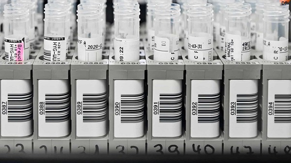 Covid-19. Australianos eliminam vírus “in vitro” com ivermectina