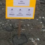 Crime eleitoral paicv