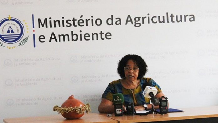 Eneida Rodrigues_Diretora-geral da Agricultura, Silvicultura e Pecuária