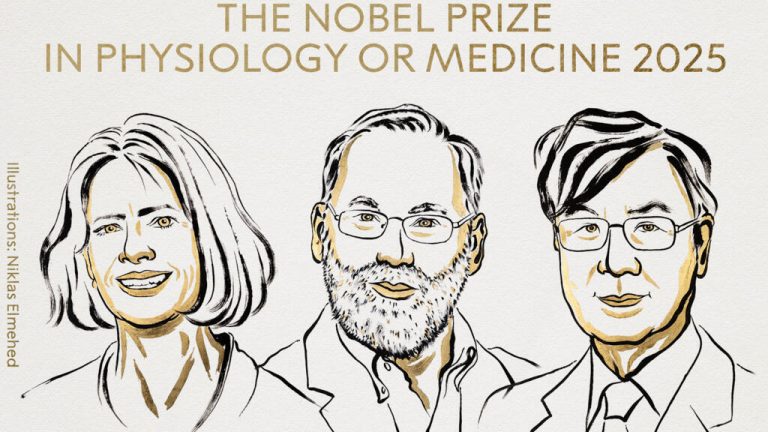 Mary Brunkow, Fred Ramsdell e Shimon Sakaguchi recebem Nobel da Medicina