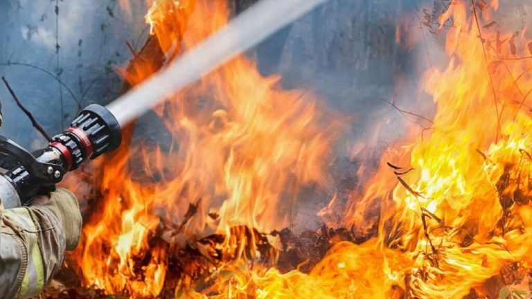 ONU atenta à situação de incêndios em Portugal