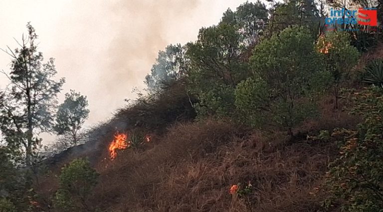 Incêndio em Monte Vaca, no Fogo, destrói áreas agrícolas e mobiliza população e autoridades na ilha