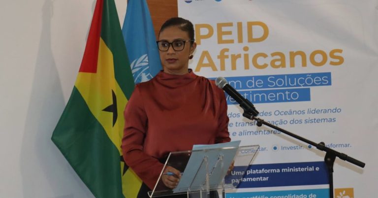 Governo apresenta medidas para fortalecer sistema alimentar sustentável em África