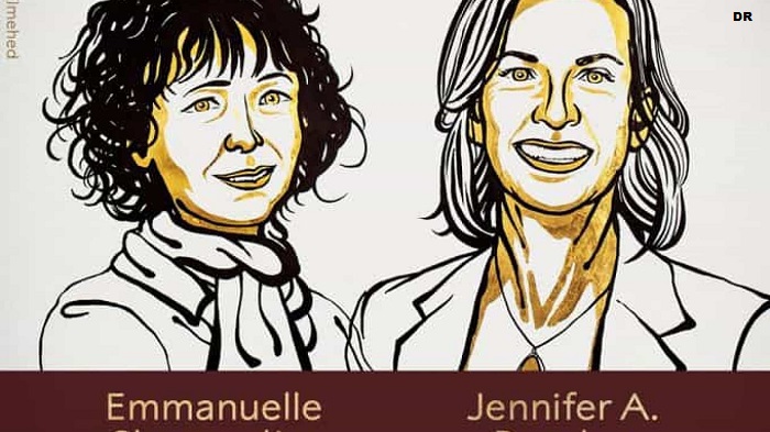 Nobel da Química para Emmanuelle Charpentier e Jennifer A. Doudna