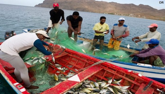 PESCADORES