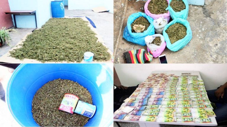 TRÁFICO DE DROGAS: PN apreende mais de um barril de “padjinha” em Gil Bispo