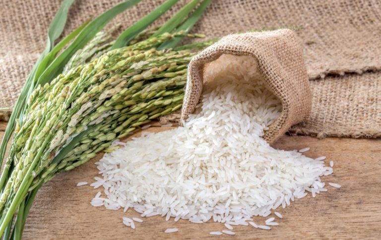 Cabo Verde vai investir na produção de arroz em parceria com Coreia do Sul