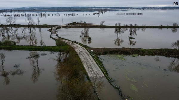 Situação de cheia no Vale do Mondego, Portugal, está a estabilizar