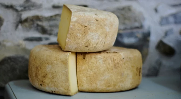 World Cheese Awards elege queijo de ovelha amanteigado, de Portugal, como o melhor do mundo