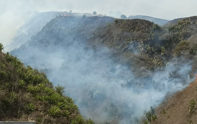 Fogo. Idosa queima lixo e causa incêndio de grande escala em Campanas de Baixo