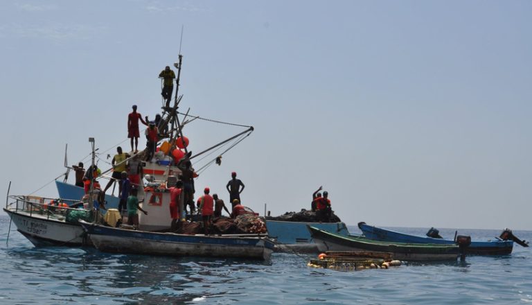 Dia do Pescador. Ministério do Mar destaca papel da pesca na economia e segurança alimentar