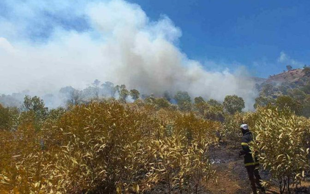 Incendio na encosta da Serra em São Filipe destrói pastagens e cultivos