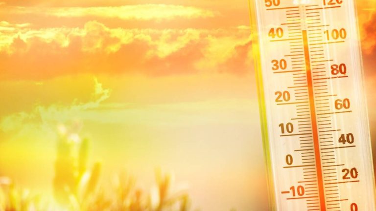 Dia 21 de julho regista temperatura global mais alta de sempre