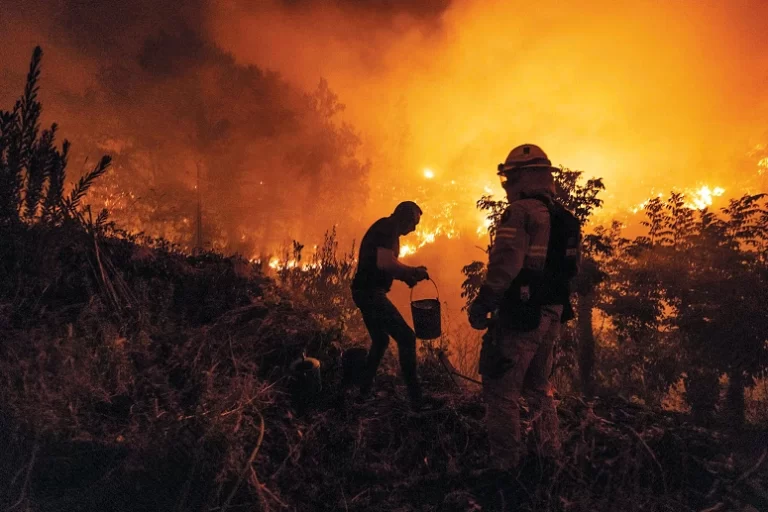 Aumenta para oito número de mortos nos incêndios em Portugal