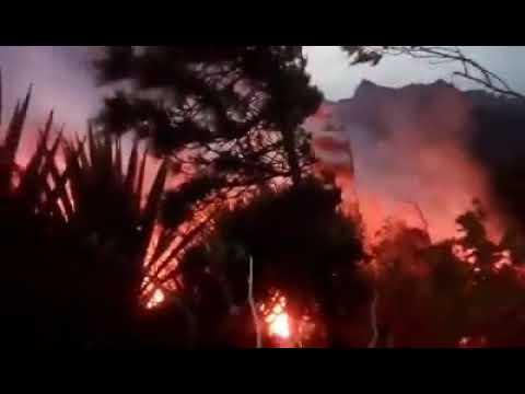 Vídeo mostra incêndio no Monte Gordo
