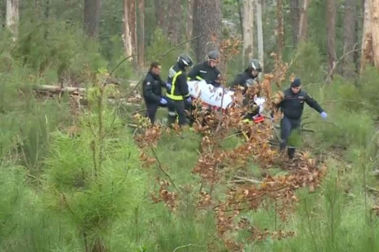 Homem morre em queda de árvore