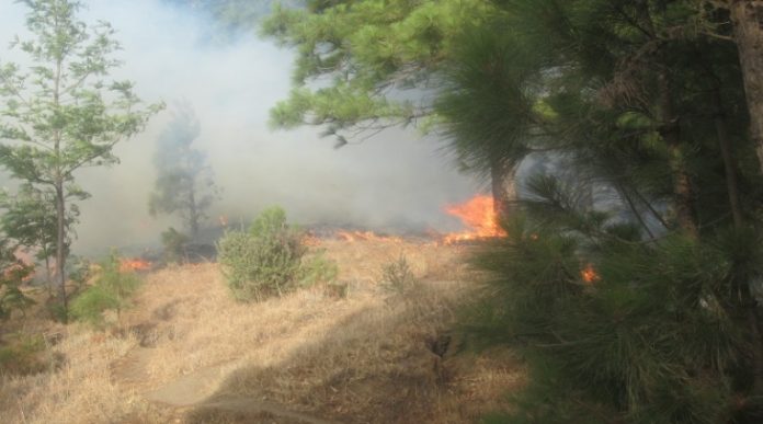 incendio-santo-antao