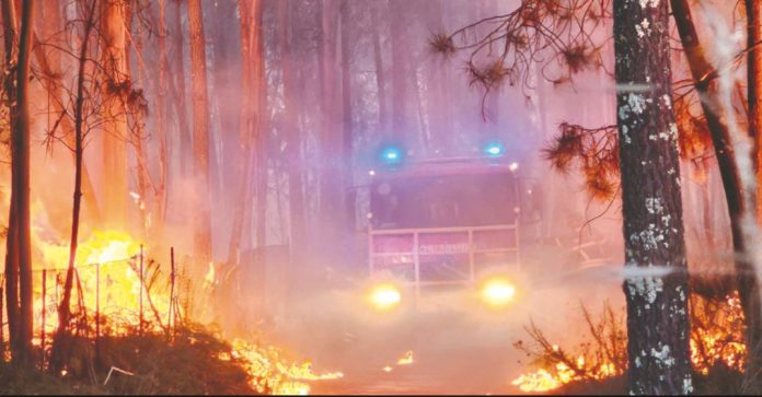 incendio-vila-de-mato-dr