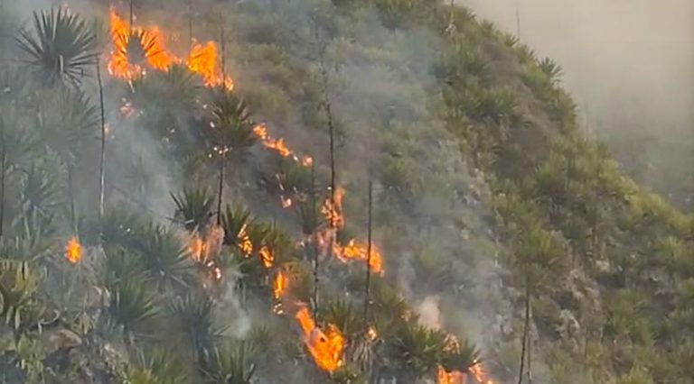 Incêndio em Cova Matinho volta a sair do controlo e ameaça Estância Roque