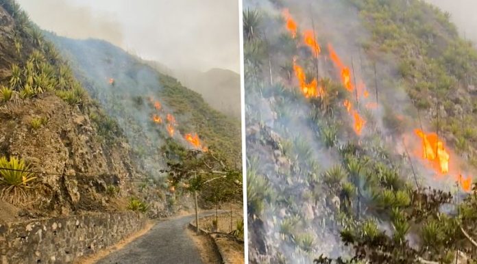 incendio_em_Santa_Catarina_Fogo_85e987c6a7