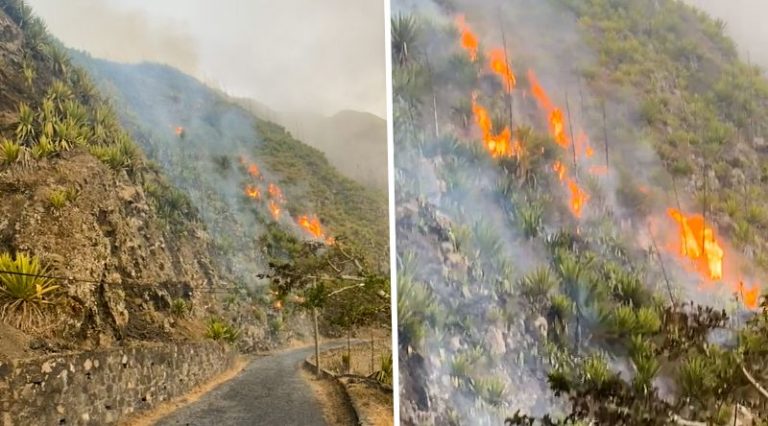 Incêndio em Cova Matinho destruiu vários hectares de terrenos