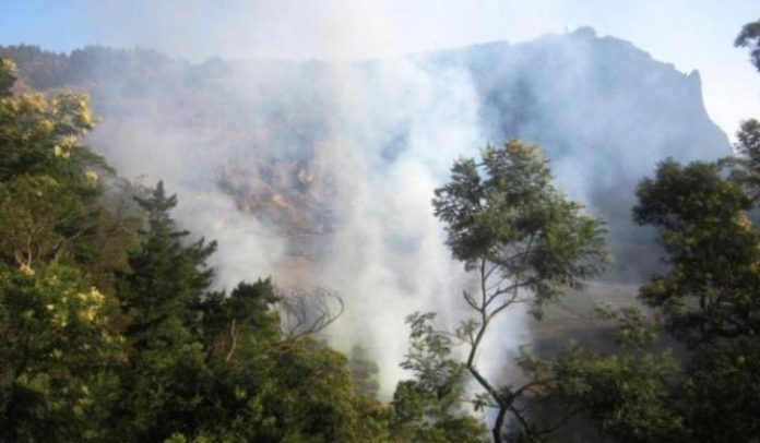 incendio_planalto_leste_5