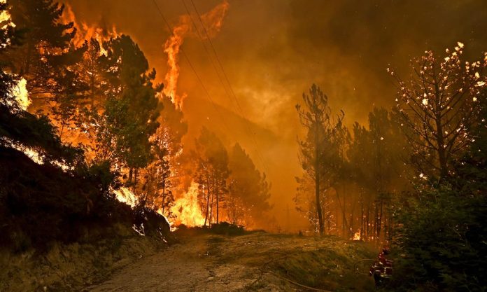 incendio_spedrosul_chamas_130816_fotonunoandreferreiralusa792333f4defaultlarge_1024