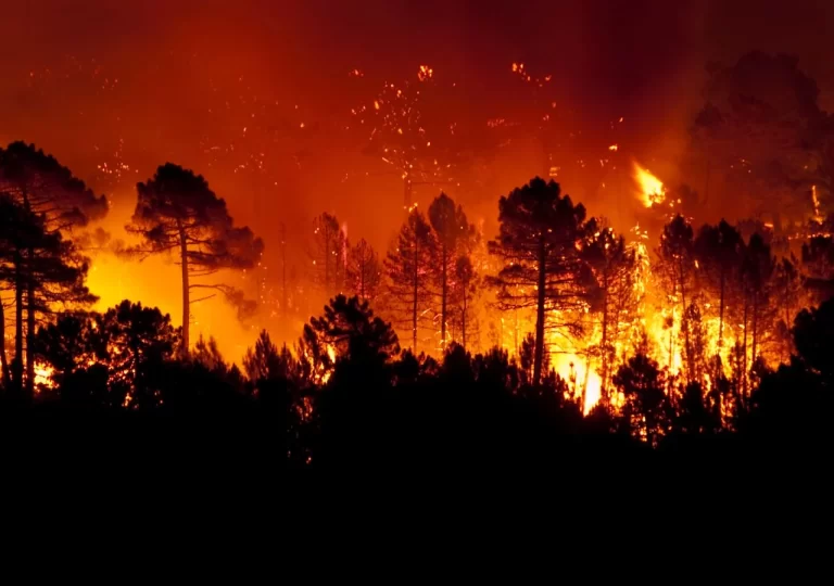 Incêndios em Portugal consomem mais de 124 hectares de área