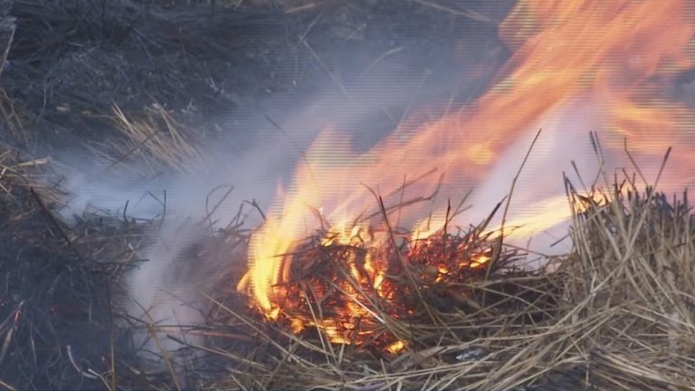 Incêndio de “grande proporção” atinge localidade de Mato Gege, interior de Santa Catarina