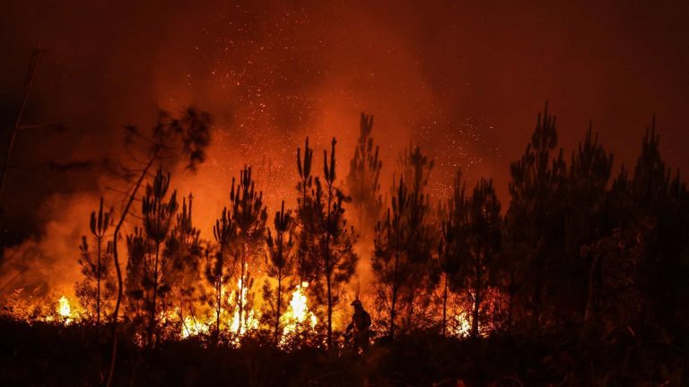 Incêndios na Argélia já mataram 40 pessoas