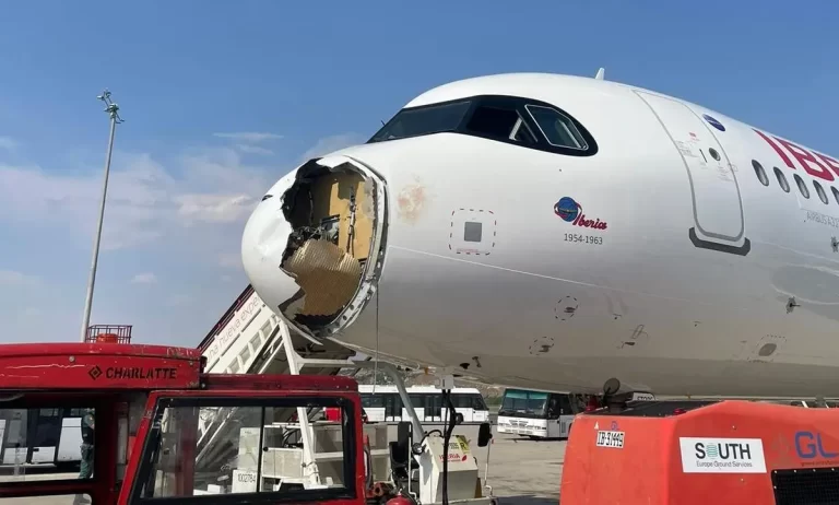 Avião obrigado a aterragem de emergência em Madrid após chocar com ave